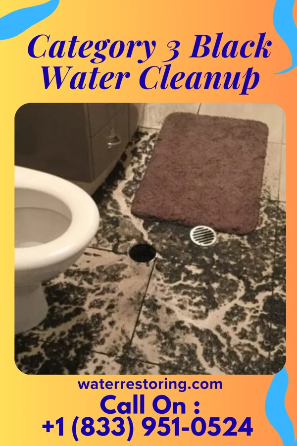 Category 3 Black Water Cleanup in Cottage Lake, WA