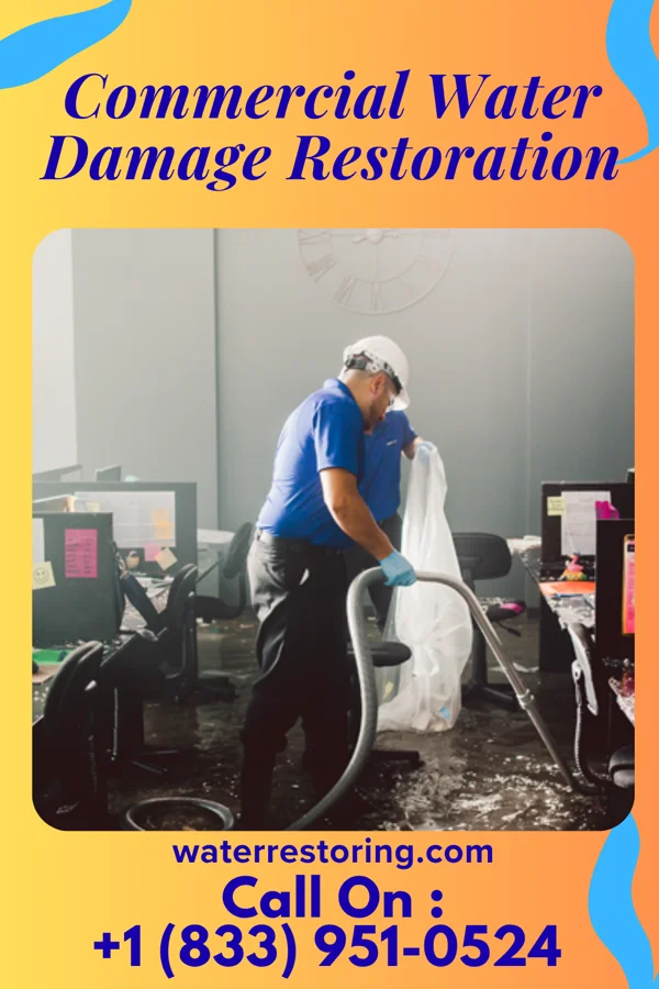 Commercial Water Damage Restoration in Cottage Lake, WA