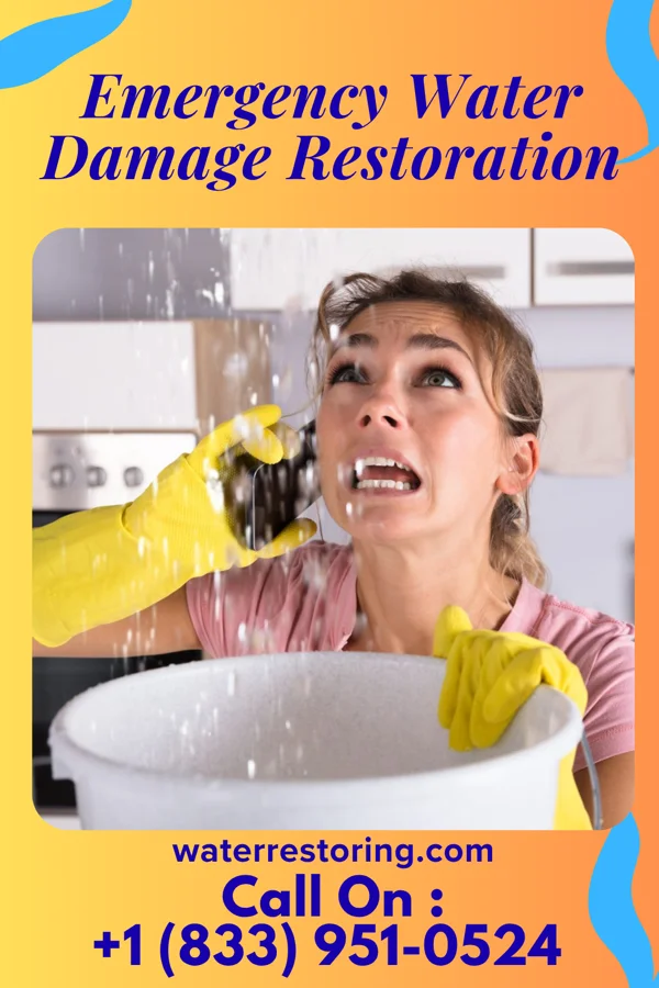 Emergency Water Damage Restoration in Cottage Lake, WA
