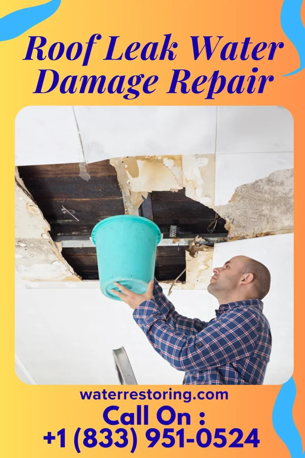 Roof Leak Water Damage Repair in Cottage Lake, WA